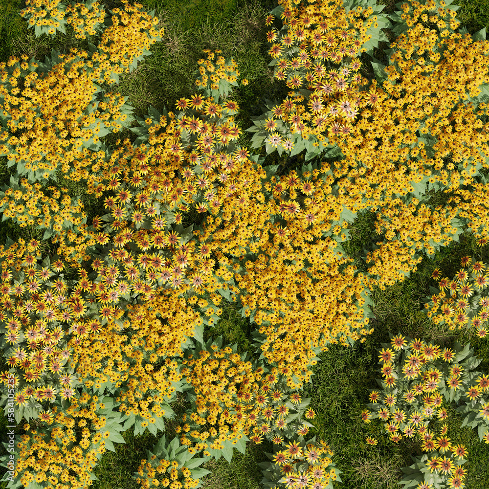 Flower Ground Top View yellow Flower Ground Top View yellow
