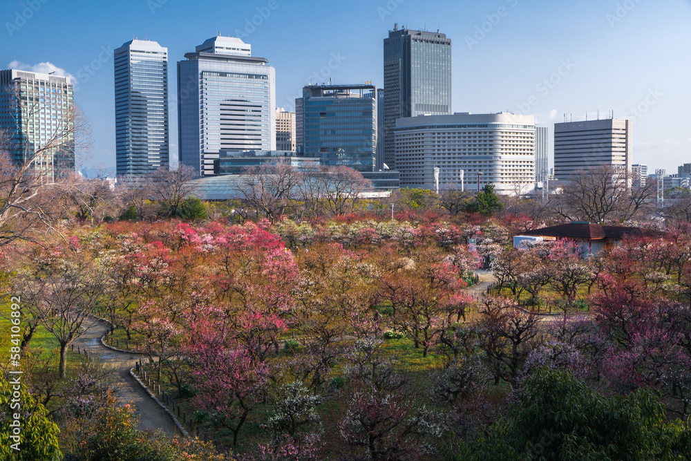 Obraz premium 大阪府 大阪城梅林公園の春景色