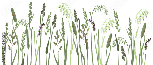 vector drawing grass plants, drawing floral elements, hand drawn illustration
