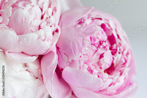 Close up of pink Peony wedding flowers
