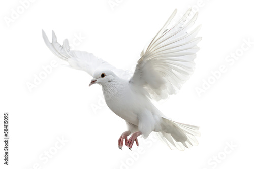 White dove flying on transparent background png .freedom concept and international day of peace