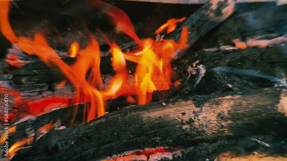 campfire in the forest close-up campfire in the forest close-up