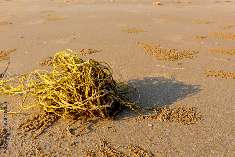 Obraz premium The beach have a garbage and effluents concept of environmental protection.