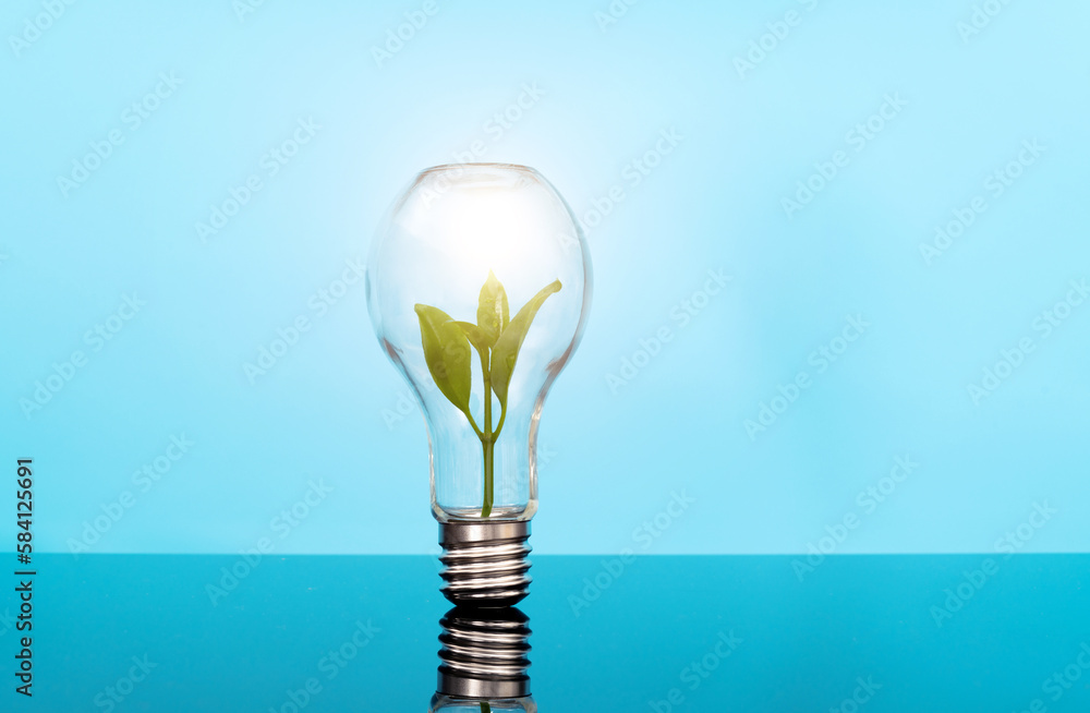 Green plant growth in light bulb - obrazy, fototapety, plakaty 