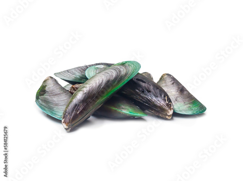 Raw food of fresh green mussels in stack isolated on white background with clipping path and shadow in png format
