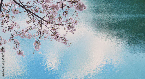 春の満開の桜と空雲を映す水面湖川の背景 新年度・入学・入社・入園・卒業のイメージ