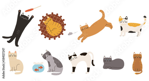 いろんなポーズをする猫