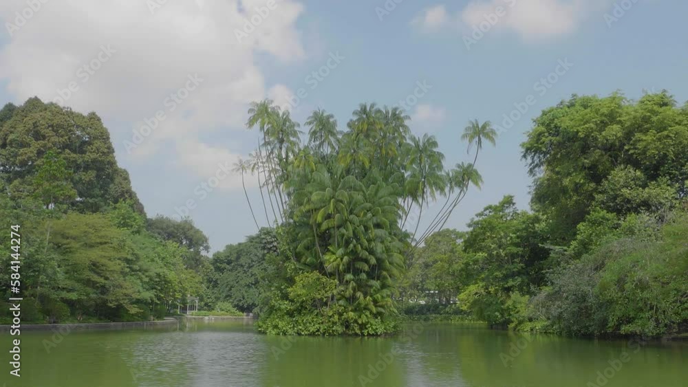 Singapore, Botanic Garden, flower, lake, nature, water, park, lake, forest, spring, season, garden, botanic Singapore, Botanic Garden, flower, lake, nature, water, park, lake, forest, spring, season, garden, botanic