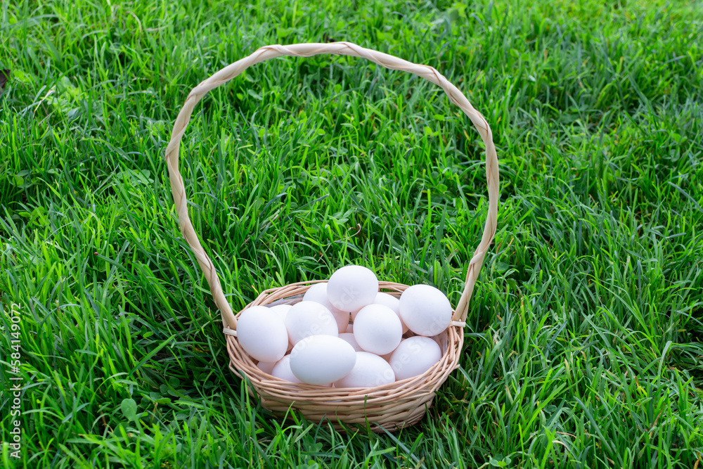 Large white chicken eggs from domestic chickens. Large white chicken eggs from domestic chickens.