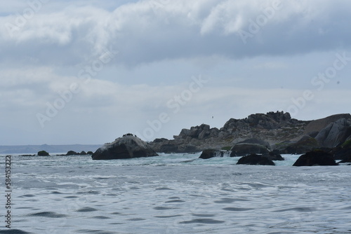 Rocky coast Reserva Nacional Pinguino de Humboldt chile