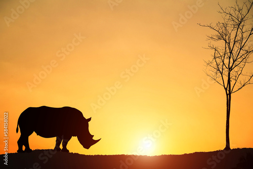 Silhouette of a rhinoceros of the African savannah © somchai