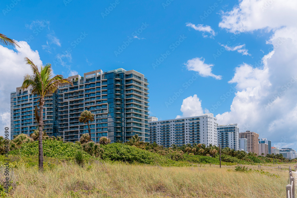 Palm trees on a grassy land at the front of modern multi-storey buildings in Miami, Florida. There is a row of modern hotels apartment buildings against the sky with giant clouds in the background.