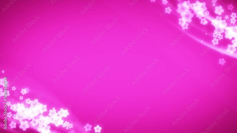 cherry blossom loop background material cherry blossom loop background material