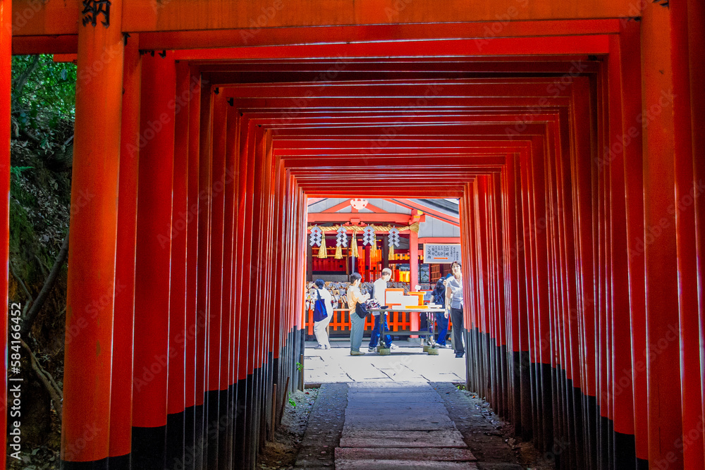 Fototapeta premium 伏見稲荷大社