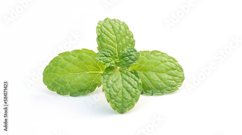 Green mint leaves on a white background.