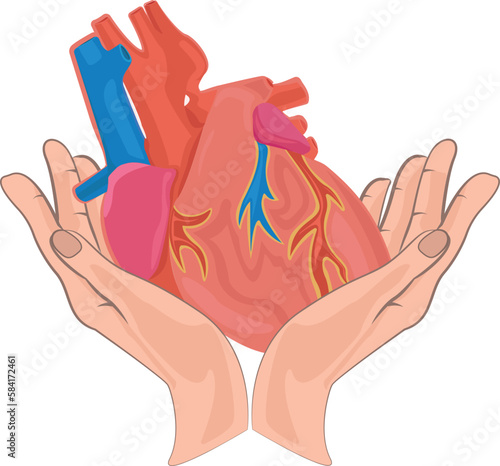 Human heart with veins in hand unfolded hands flat vector illustration