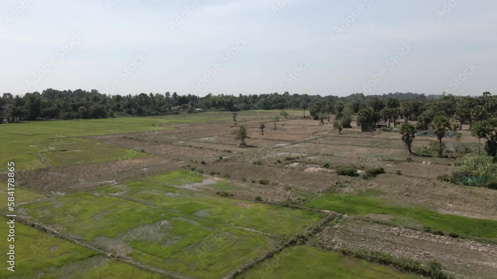 Flight over flooded, yet dry, rice paddy fields in siem Reap Cambodia Flight over flooded, yet dry, rice paddy fields in siem Reap Cambodia