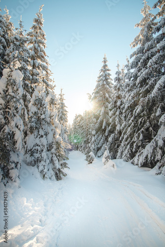 Walk through a nature reserve during the winter season at sunrise in Beskydy mountains, Czech republic. Breathtaking view of the golden rays of the sun illuminating the footpath