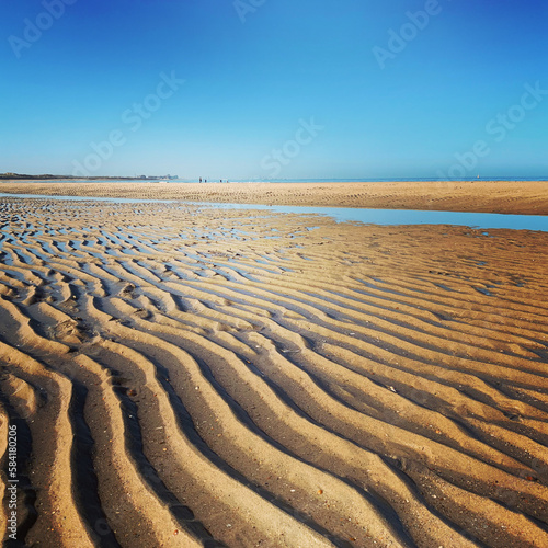 A sandy beach in the Netherlands