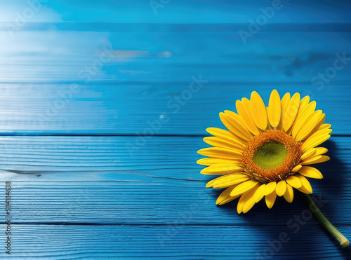 yellow spring flowers on wooden blue background