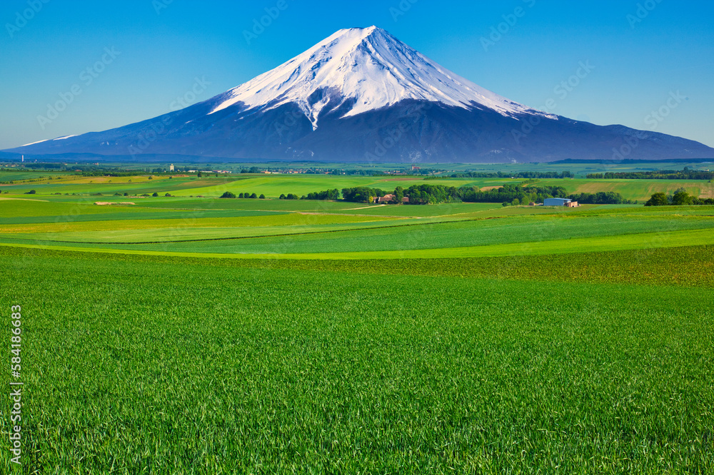 オーストリアの美しい田園風景と富士山合成