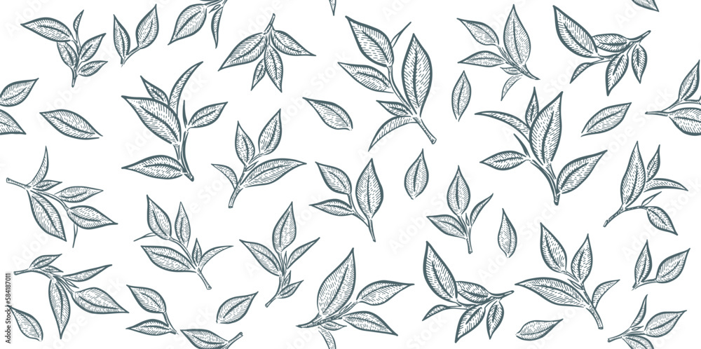 Fototapeta premium Green tea leaves. Hand drawn, vector. 