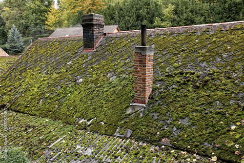 Moss covered roof with brick chimney