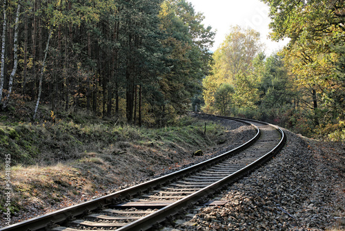 Left turning of the railway in forest