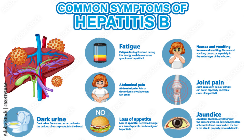 Informative poster of common symptoms Hepatitis B Stock Vector | Adobe ...