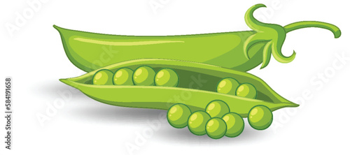 Pod of green peas on white background