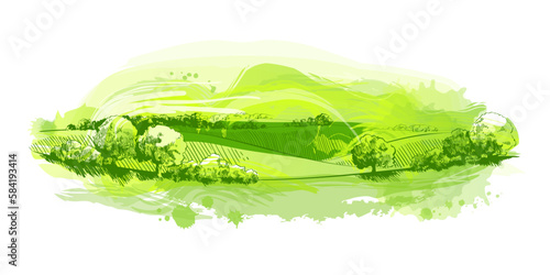 Watercolor field on small hills. Meadow green grass, grassland, pasturage, farm, trees. Rural scenery landscape panorama of countryside pastures. Hand drawn vector illustration