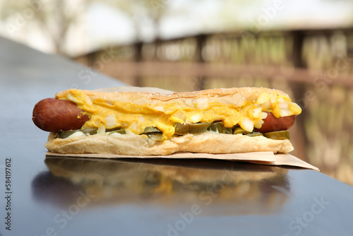 Fresh tasty hot dog with sauce on dark parapet outdoors