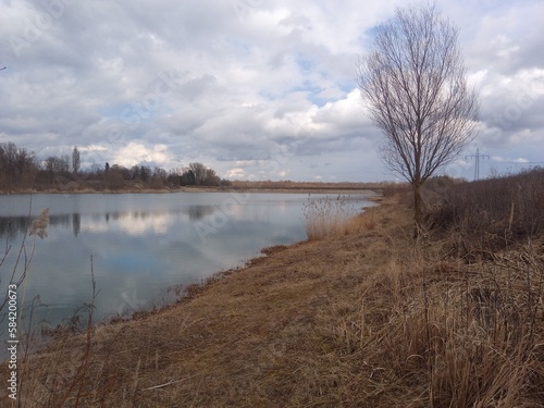 lake in the forest