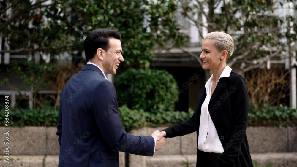 Business people sealing a deal shaking hands Business people sealing a deal shaking hands