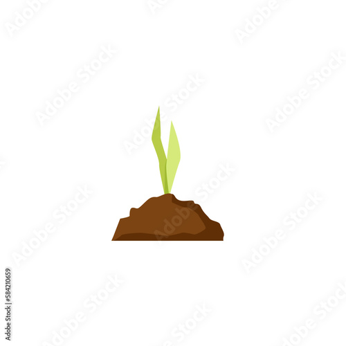 A small green tulip sprout and a pile of earth