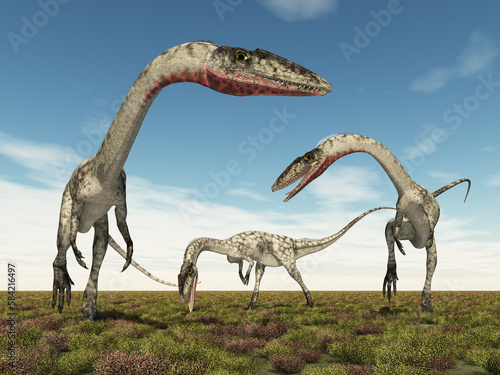 Dinosaurier Coelophysis in einer Landschaft