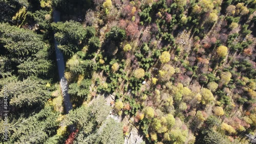 Amazing Aerial Autumn of Vitosha Mountain, Bulgaria Amazing Aerial Autumn of Vitosha Mountain, Bulgaria