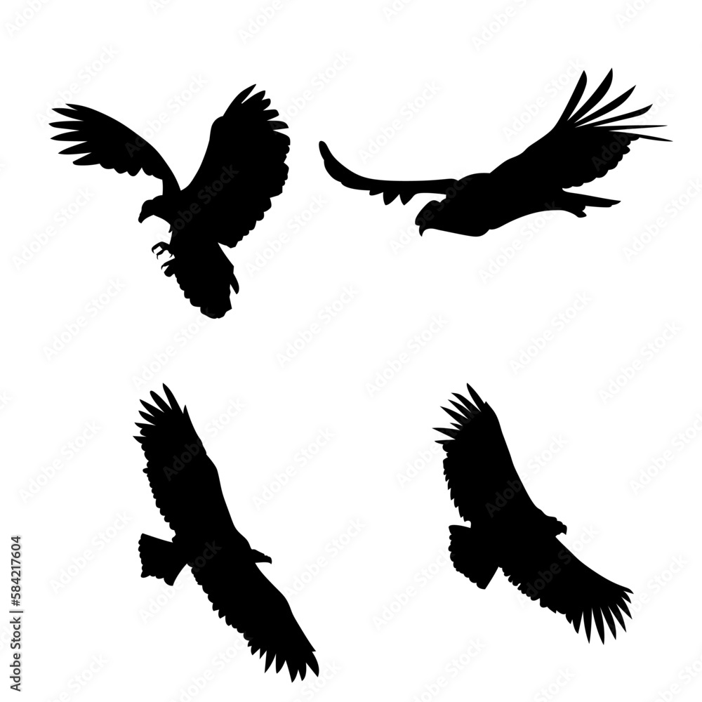 Obraz premium the vulture vector eps 10