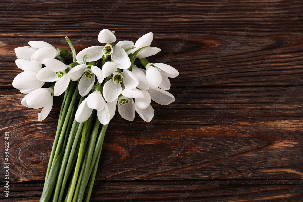 Beautiful snowdrops on wooden table, above view. Space for text Beautiful snowdrops on wooden table, above view. Space for text