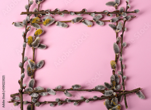 Frame made of beautiful blooming willow branches on pink background, flat lay. Space for text