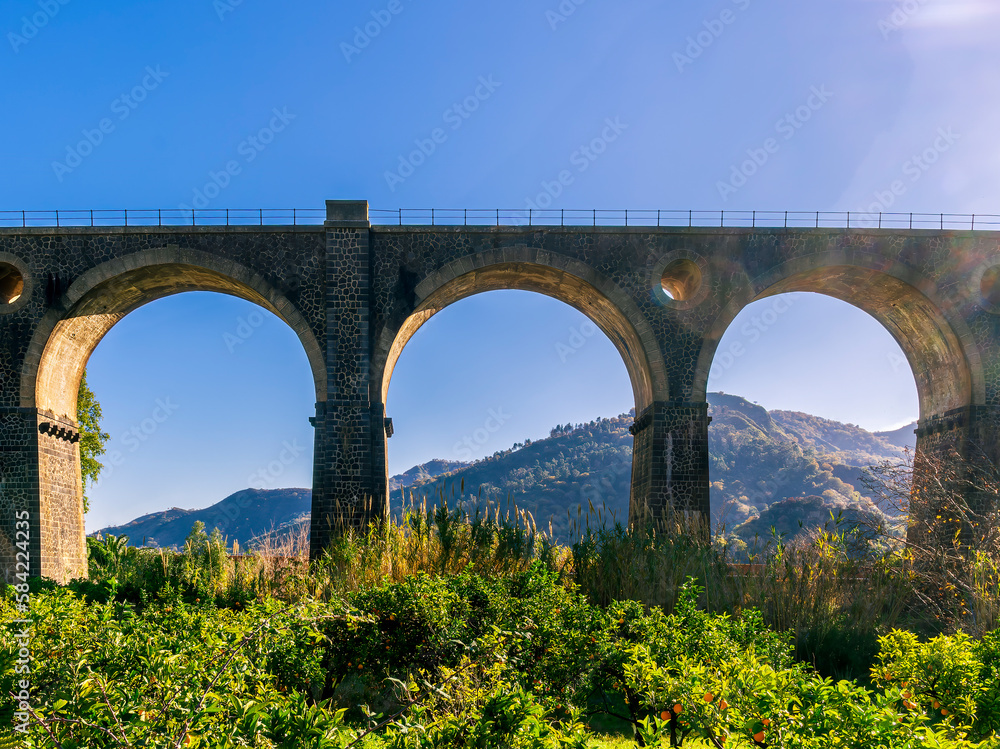 nice old vintage bridge with big arcs and columns among nature with green garneds and blue sky , european old concept landscape