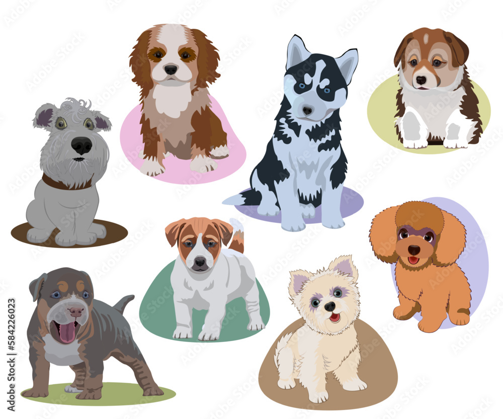 Cute puppies set different dog breeds. Vector illustration