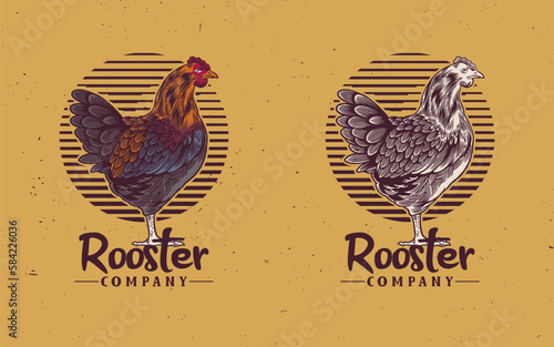 Rooster, poultry vintage logo, retro print, poster for Butchery meat shop with text typography (ID: 584226036)
