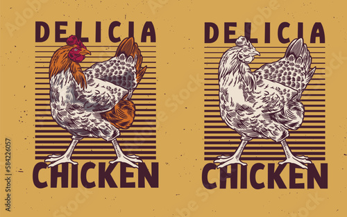 Rooster, poultry vintage logo, retro print, poster for Butchery meat shop with text typography
