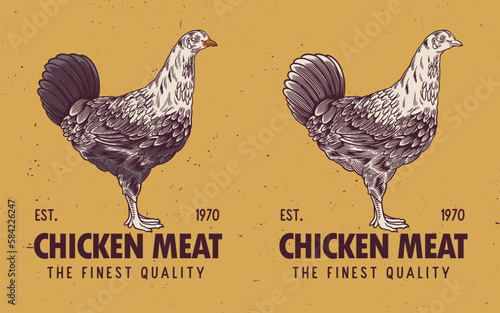 Rooster, poultry vintage logo, retro print, poster for Butchery meat shop with text typography (ID: 584226247)
