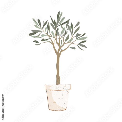Beautiful young potted olive tree isolated on white. Vector illustration.