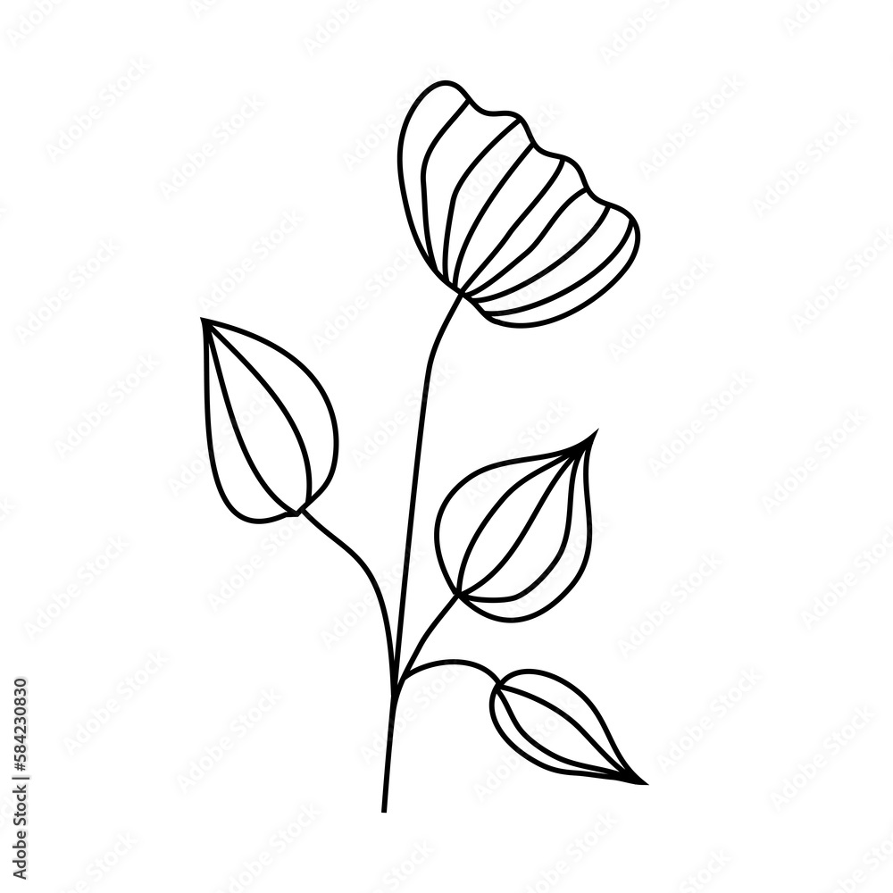 Obraz premium Vector linear hand drawn decorative flowers black and white botanical illustrations. PNG