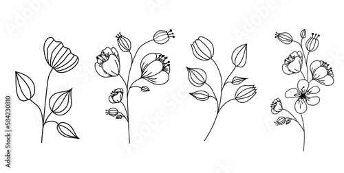 Fototapeta Naklejka Na Ścianę i Meble -  Vector linear hand drawn decorative flowers black and white botanical illustrations. PNG