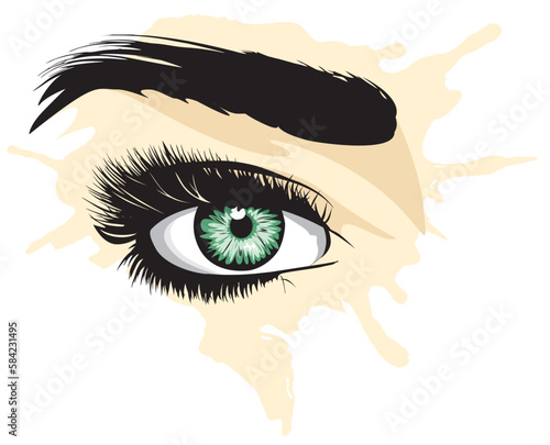 grünes Augen gezeichnet als Vektor Grafik photo