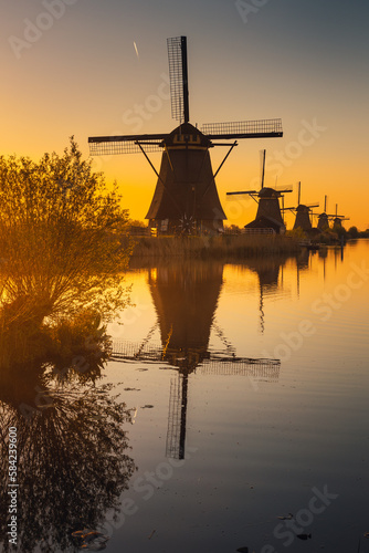 Morning among the windmills in Kinderdijk - one of the most characteristic places in the Netherlands. The beautiful spring adds charm to this place.